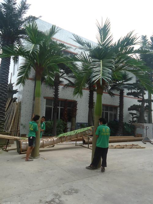 仿真大王椰树 尺寸可定制 景观工程         产品名称: 仿真大王椰树