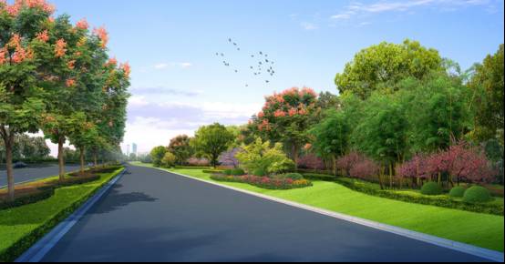 作品展示:椒江区“两口两路”城市道路景观提升工程